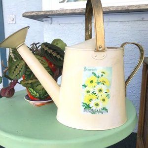 Retro Burpee Watering Can